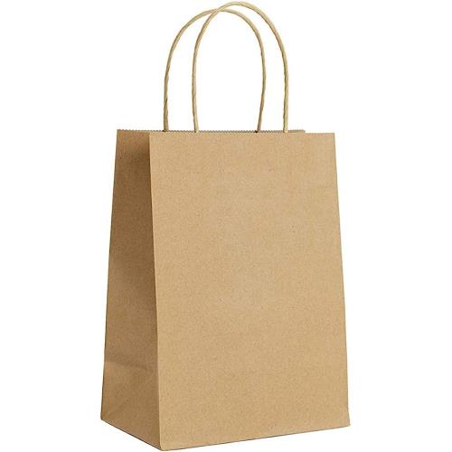 EcoSystems® Kraft Paper Bag With Rope Handle, 10" x 5" x 13", 250/Case